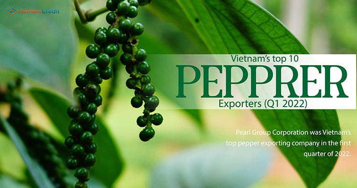 Vietnam’s top 10 pepper exporters (Q1 2022)